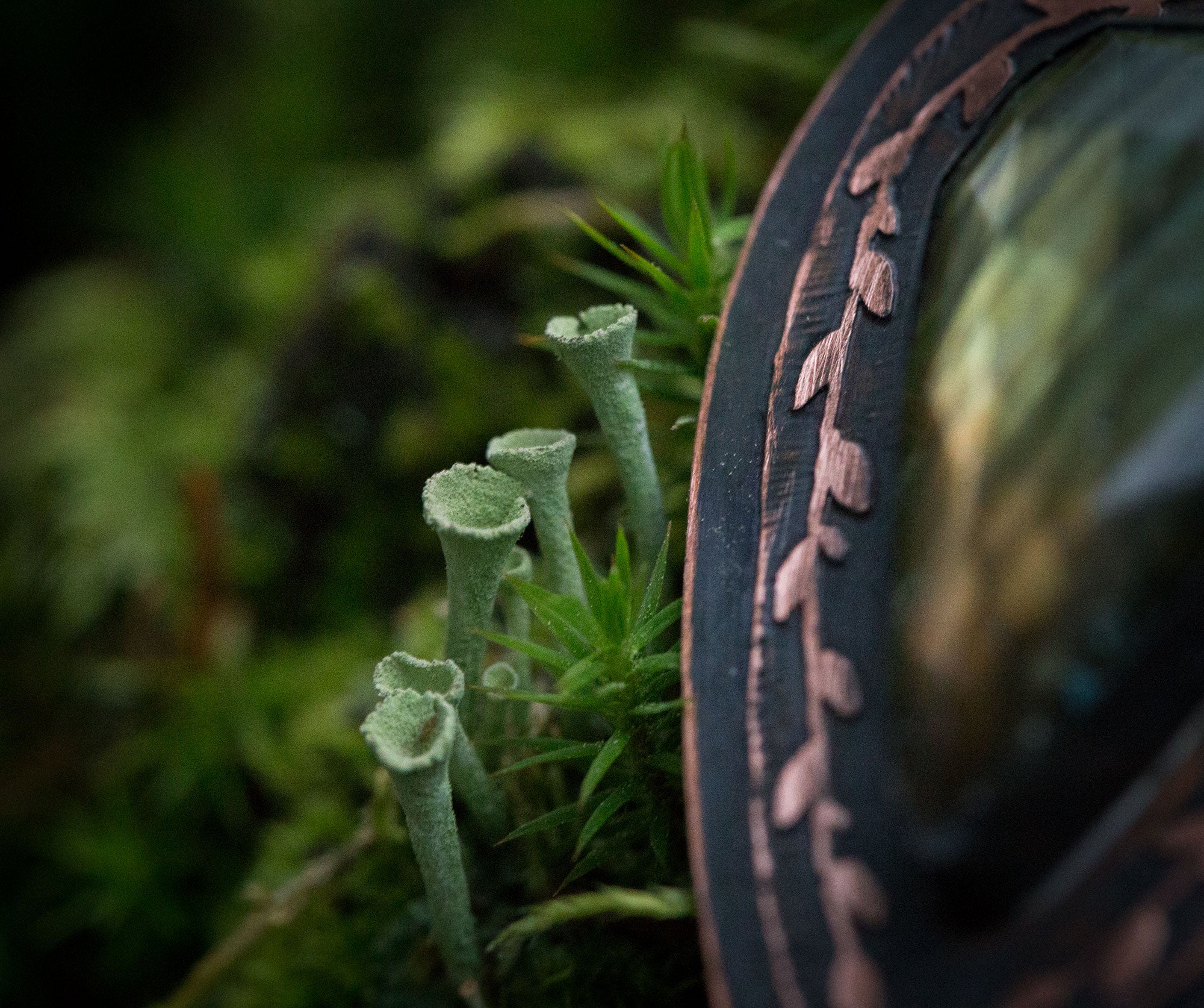 Wisior z labradorytem w jesiennych kolorach i subtelnym roślinnym rysunkiem