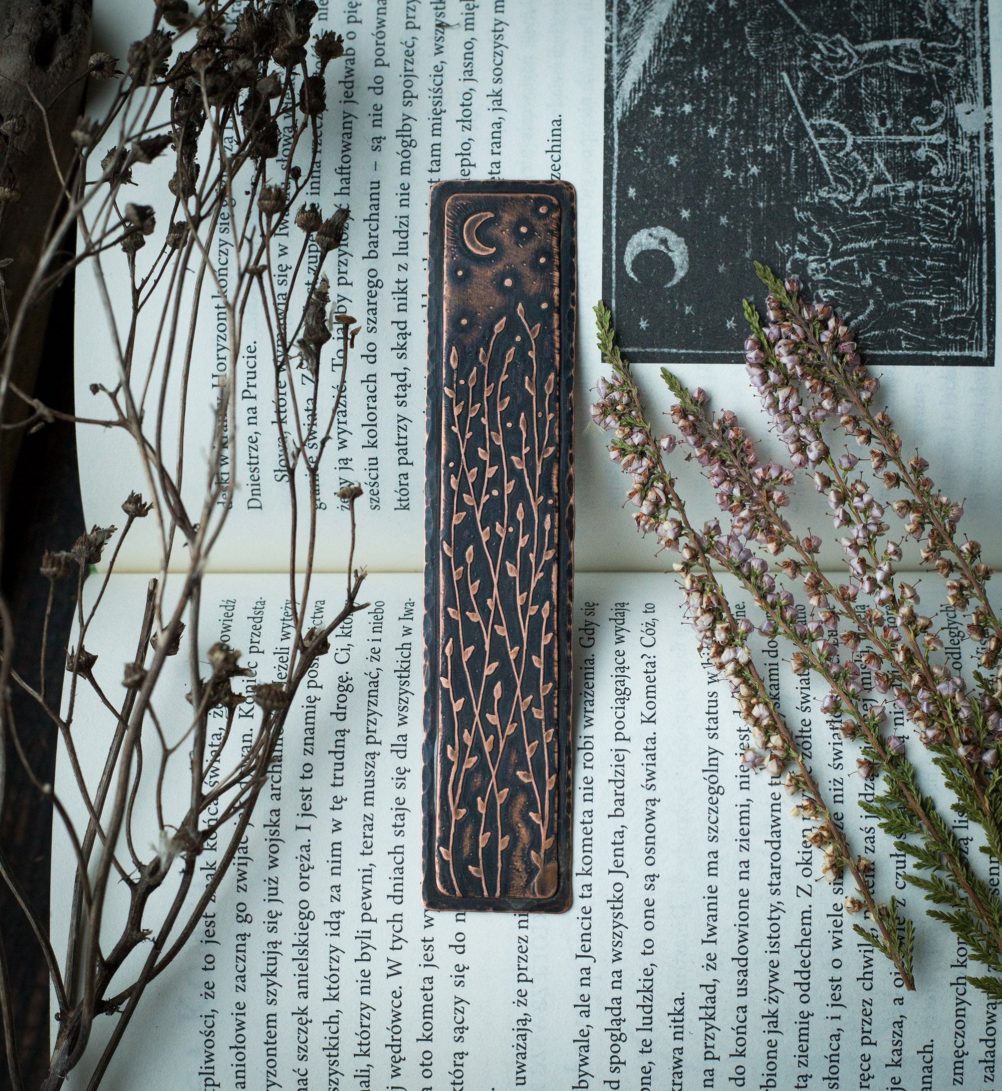 Zakładka do książki roślinność i noc